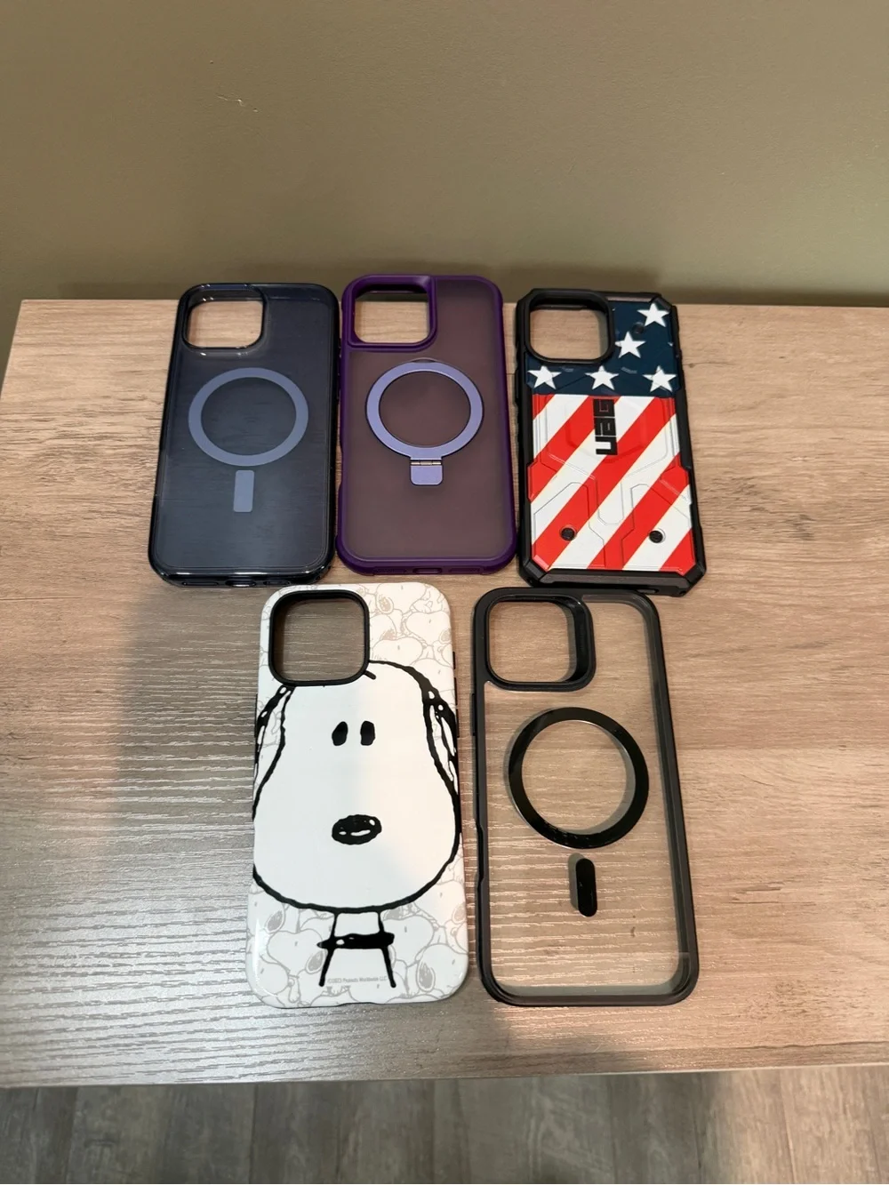 16 Pro Max Phone Cases (5 Total)